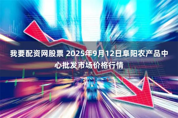 我要配资网股票 2025年9月12日阜阳农产品中心批发市场价格行情