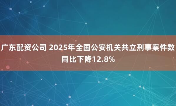 广东配资公司 2025年全国公安机关共立刑事案件数同比下降12.8%