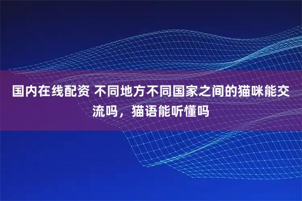 国内在线配资 不同地方不同国家之间的猫咪能交流吗，猫语能听懂吗
